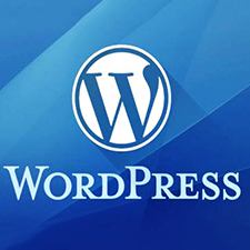 Payment plugin(host) for wordpress